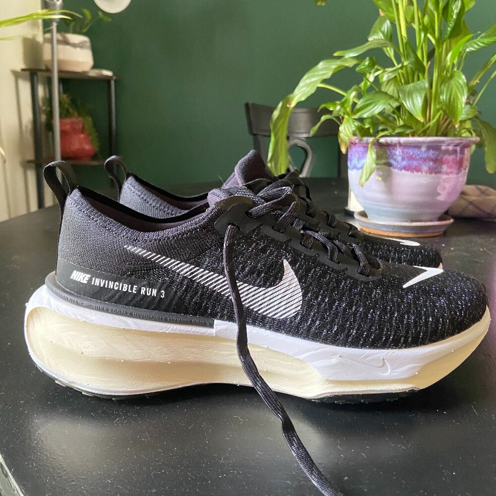 Womens Nike Invincible Run 3